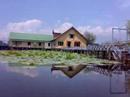 Srinagar
