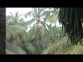 Goa - Indien - Urlaub Teil 27