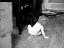 Aeries follows Scooter