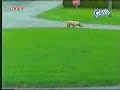 3 seconds make you laugh
