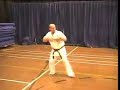 Kyokushin Karate Kata - Teki Sono Ni