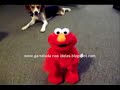 boneco gargalhada boneco gargalhada