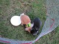 bob and toast  bunny 500