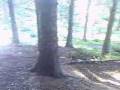 videos de DH Mountain Biking Perth