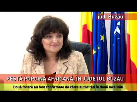 Focare de pestă porcină africană, confirmate în două localităţi din judeţul Buzău