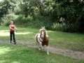 My old pony. Sold in 2008