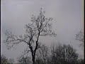 Poplar Rigging