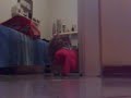 Gatto Ruba Mutande