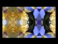 teledysk, klip, Beth Orton,- Love like laughter