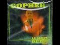 Gopher D-Lu servu de Diu