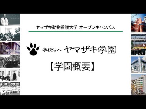 学園概要