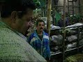 Video de pr�ctica YouTube experto de econom�a en tub�rculos