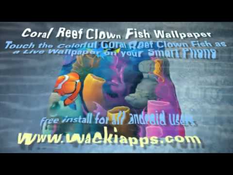 Coral Reef Clown Fish LWP