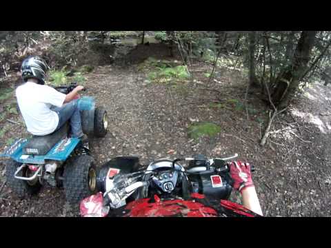 350 warrior 350 warrior