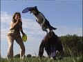 Dog Frisbee (part III)