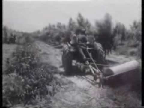 kumpir