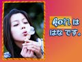 Japanisch Lernen mit MoBeCu & Co. Vol.5