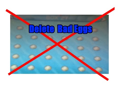 how to eliminate omega 6