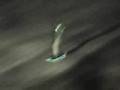 New Glowboard kits for snowboards!