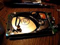 Seagate ST9160821A failed just after 6 months of use.
