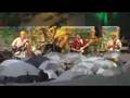 Buffalo-Soldier-Live