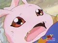 Team Taichi & Agumon