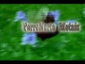 www.ferronortemetais.com.br