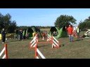  shetland agility boaster