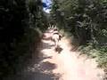 canter in Katalonia