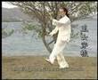 Tai Chi : l'Art du Taijiquan 太极拳 Wu Shu par Najib Bouchiba