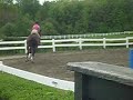 my horse and i