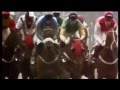 2013 Royal Ascot Prince of Wales Stakes