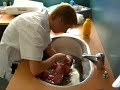 Geboortefilm Levi Coens