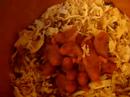 hamster babies hamster babies