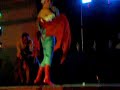 TNT 14 presentacion de Ginny, Jenny y Lindze TNT 14 presentacion de Ginny, Jenny y Lindze