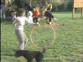 See video