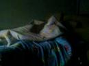 couchou couchou