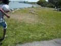 videos de Duck Hunt
