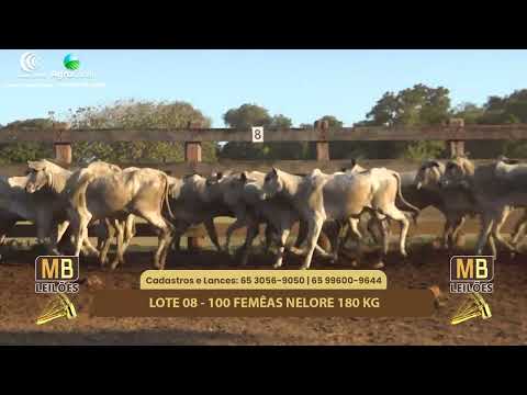 508� LEIL�O VIRTUAL MB LEIL�ES