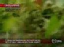 milf ambush philippine marines basilan2