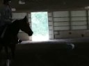 Magic-My boy