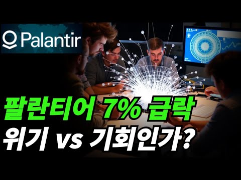 (팔란티어) 성장이 계속되는가?