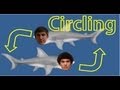Video: Circling Strangers Prank - Pranksist