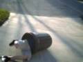 2008-12-28 | stupid stunts (trashcan roll) ~> Trenton rolls down a driveway in a trashcan. ... (00:48)