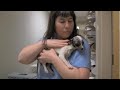 OHS Tillamook Rescue 12/8/09