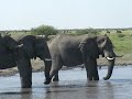 lioness-lions-and-pride-kruger-park-scary-moment.html