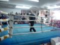 boxeo jose