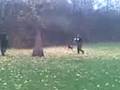 videos de ELLYS OBRANY