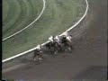 1987 Haskell Stakes Bet Twice--Alysheba--Lost Code