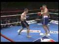Mirco Cro Cop vs Peter Aerts part 1